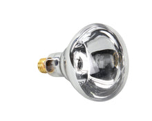 NEMCO  NEM45376 BULB CLEAR LENS-250W