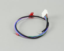PRINCE CASTLE 95-1624S KIT WIRE ASSY