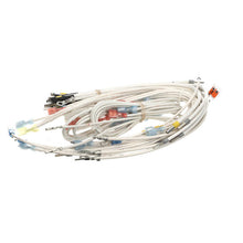 BKI WH0143 WIRING HARNESS  CONTROL PLATE