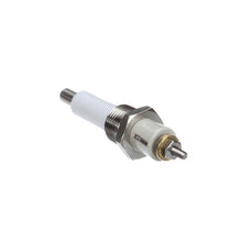 GROEN CROWN-4-LLP1 LIQUID LEVEL PROBE