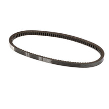 HAMMERALL CP-105 BELT