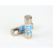 PRINCE CASTLE 88-578S FUSE (PKG OF 2)