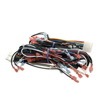 VULCAN HART 00-856744-00001 HARNESS WIRING BASIC C24EA