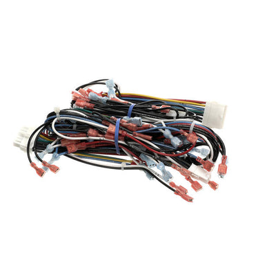 VULCAN HART 00-856744-00001 HARNESS WIRING BASIC C24EA