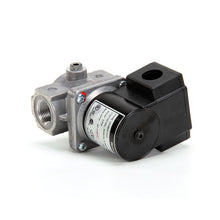 ANETS P8905-90 VALVE GAS SHUTOFF 3/4 120VAC