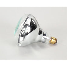 APW WYOTT 75410 LAMP  250W  PHILIPS #250BR40/1