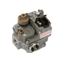 PP10593