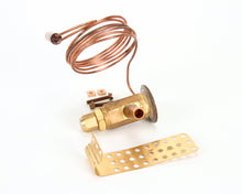 RANDELL  RDRFVLV100 VALVE, 1/4 TON R-12 ALCO AAGT-2699 N