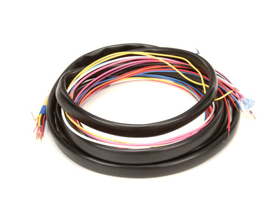 TRUE 866524 WIRE HARNESS T-49
