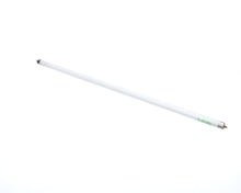 TRUE  TRUE913772 LAMP, F13T8/CW, 12, 13W, COOL WHITE