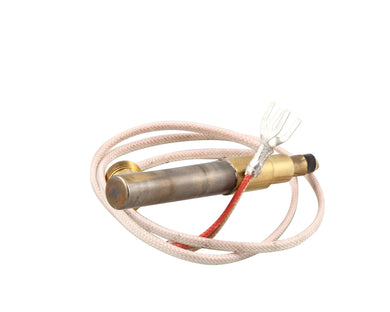 WELLS  WEL2T-42195 THERMOPILE FGS-40